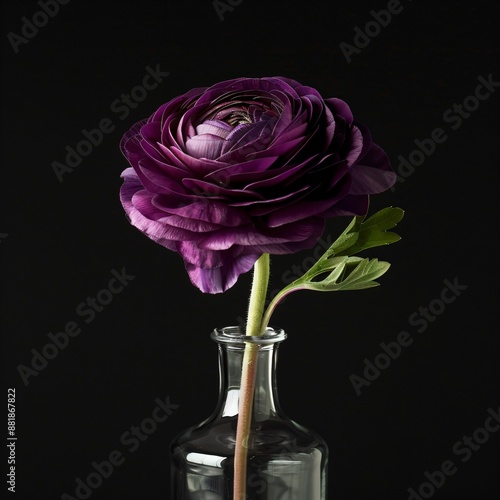 Purple Flower in Glass Bottle