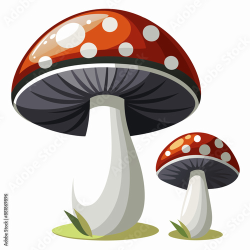 mushrooms on a white background vector  color art design
