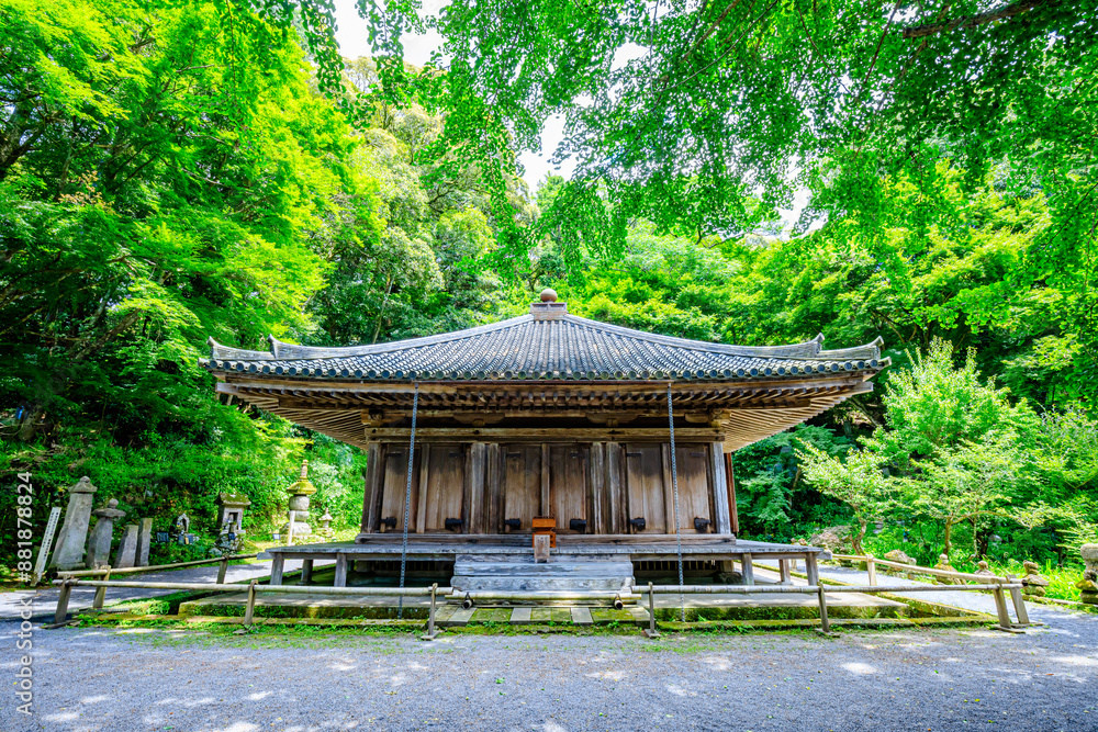 夏の富貴寺 大分県豊後高田市 Fukiji temple in summer. Oita Pref, Bungoono City. 夏の富貴寺 大分県豊後高田市 Fukiji temple in summer. Oita Pref, Bungoono City.