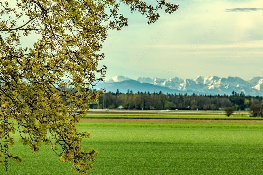 Obraz premium View of the Alpine foothills from the outskirts of Munich. In the foreground are green fields and forests without leaves. Mountains are not in focus