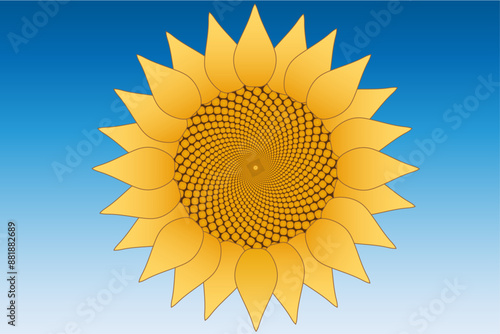 Sunflower with seeds in fibonacci pattern, stunning nature design representing the golden ratio