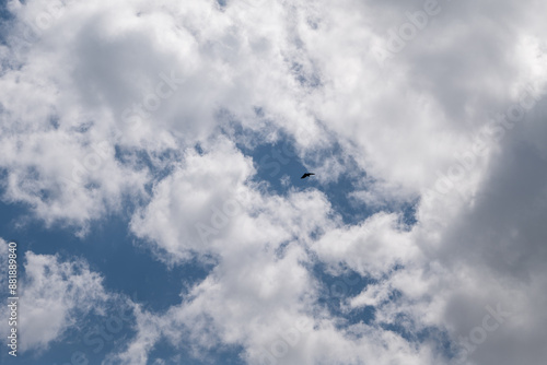 blue sky with clouds and eagle