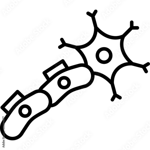 Schwann Cell Icon