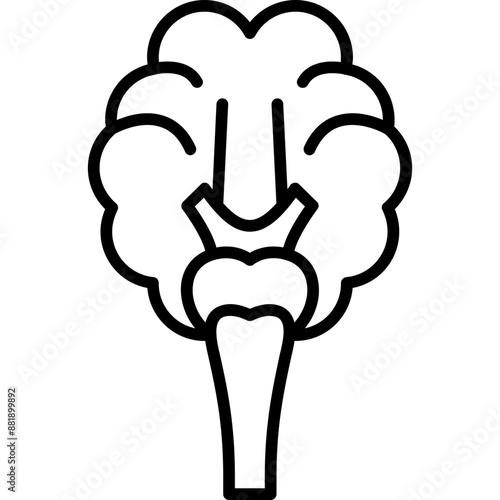 Cranial Nerves Icon