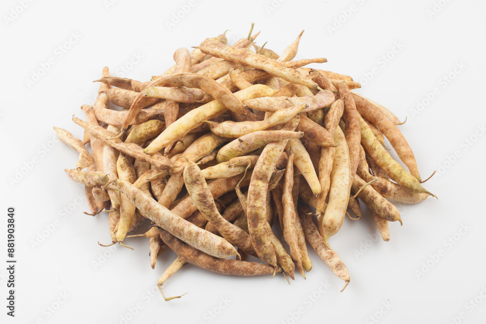 An annual herb from the legume family. The height is 60~100cm, and the leaves are alternate, three compound leaves, and have hairs.
An annual herb from the legume family. The height is 60~100cm, and the leaves are alternate, three compound leaves, and have hairs.