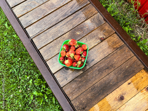 Strawberries in a green container on a wooden bench, surrounded by green grass