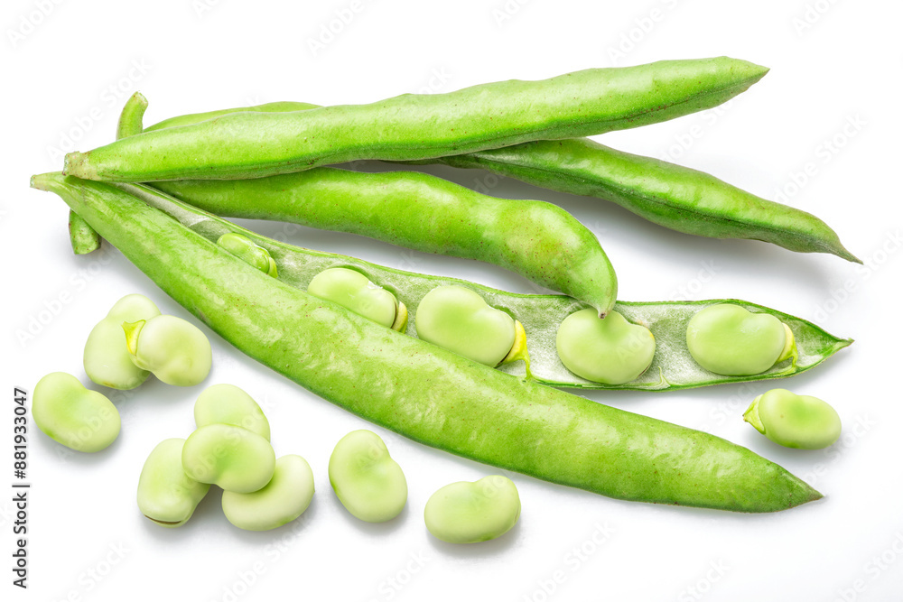 Green broad bean pod and several broad beans isolated on white background. Green broad bean pod and several broad beans isolated on white background.