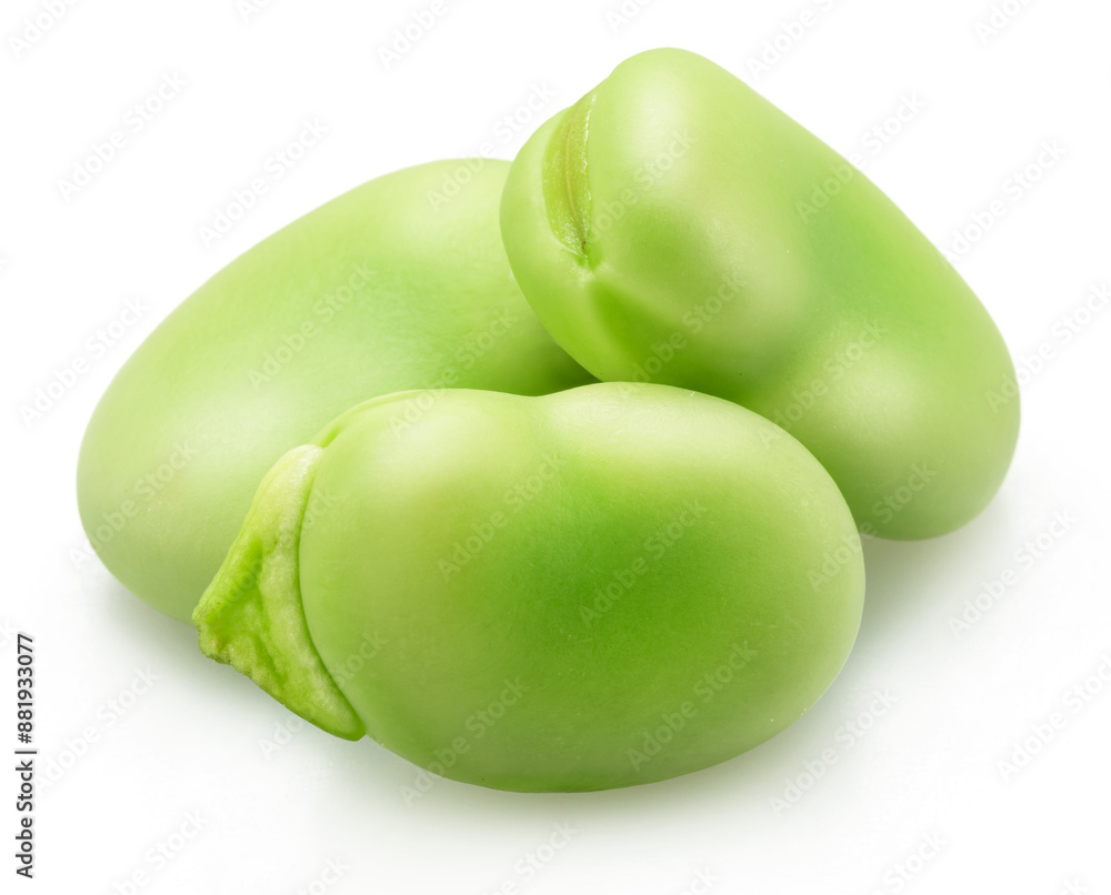 Several broad beans isolated on white background. Several broad beans isolated on white background.
