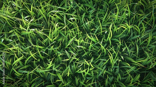 Natural green grass texture, creating a lush and realistic lawn background effect