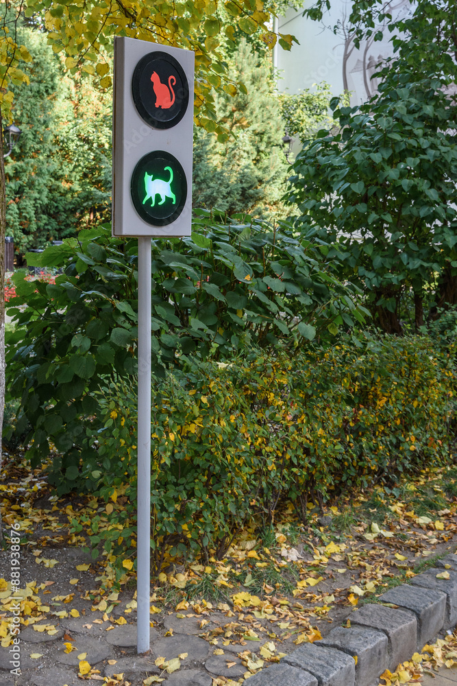 Traffic light for cats on pedestrian street Kurortny prospect at autumn. Zelenogradsk. Kaliningrad region. Russia
