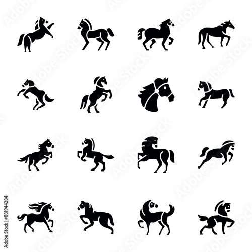 Set of 16 Equine Solid Icons 

