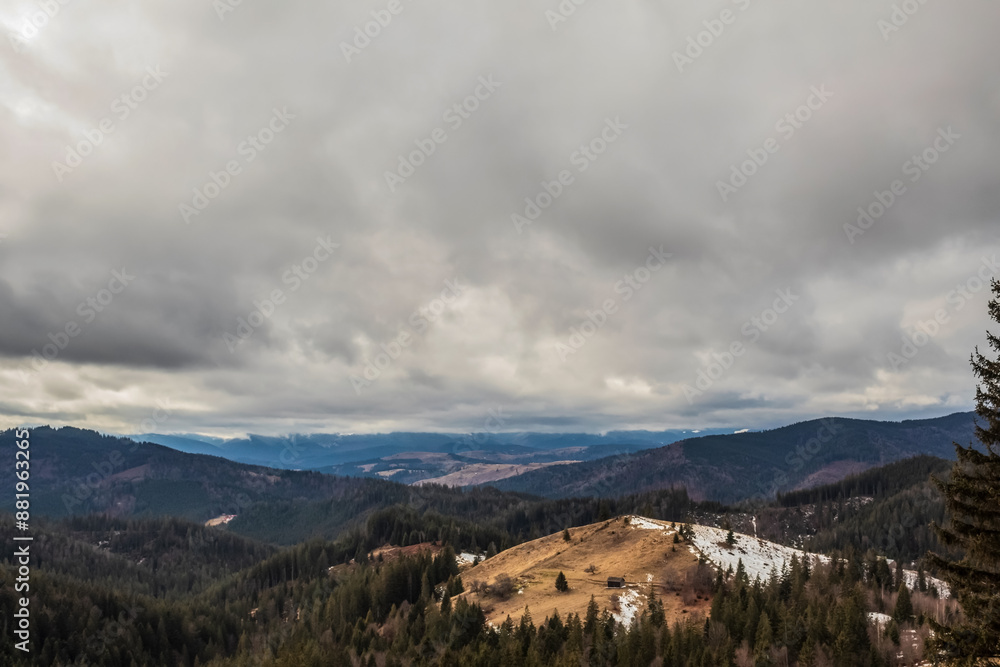 Fototapeta premium Landscapes - Forest - Europe, Romania, Suceava region
