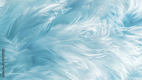 Soft Pastel White and Baby Blue Feather Pattern Texture for Elegant Wallpaper and Decorative Design
