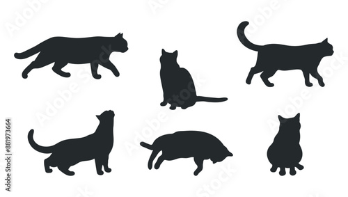 Set of cat silhouettes isolated on white background. Different cat poses. Cat is lying, sitting, walking, standing.  Vector illustration