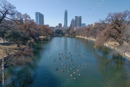 Aerial view of geese swimming in a lake with a cityscape in the background photo