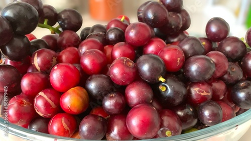 Bild auf Leinwand Prunus laurocerasus or Otto Luyken (kara yemis) fruits collected from nature