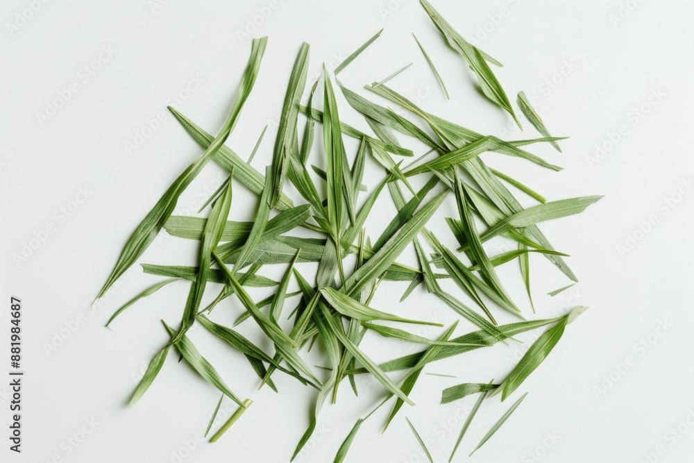 Fototapeta premium A pile of green grass on a white surface