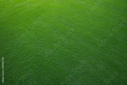 Wallpaper Mural Top-down view of lush green grass lawn texture Torontodigital.ca