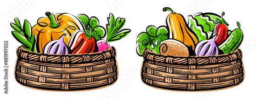Assorted organic vegetables in wicker basket. Farm vegetarian food. Colorful vector illustration