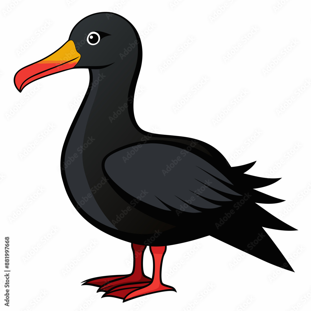 Fototapeta premium albatross birds