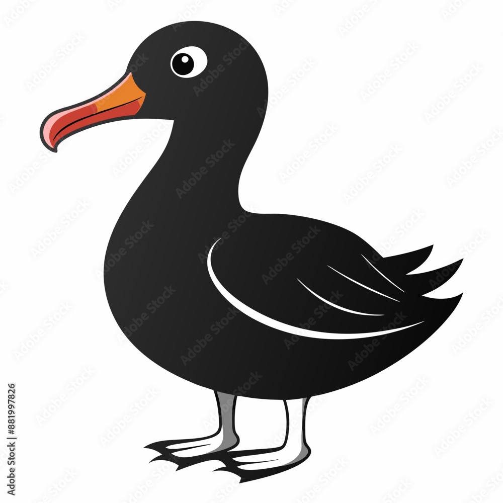 albatross birds albatross birds