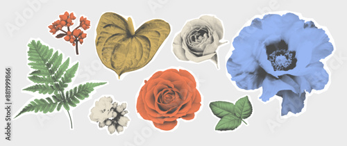 Cutout Color Halftone Flowers Set. Contemporary collage elements in a retro pop art style. Clipping scrapbook stickers with ripped paper. Vintage monochrome herbarium.	