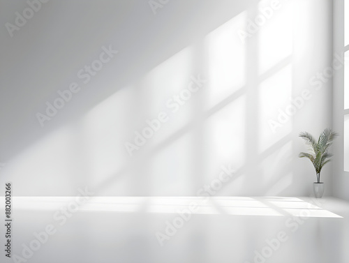 Minimalist white room with sunlight streaming through windows casting shadows on the floor, featuring a potted plant and ample copy space, ideal for modern decor. © Arma