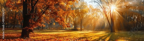 Beautiful autumn forest with golden sunlight streaming through the trees, casting a warm glow on the fallen leaves. © PBMasterDesign