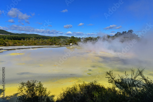 High angle view of geyser with sulfur and vapor against forest at Waiotapu near Rotorua, New Zealand
 photo