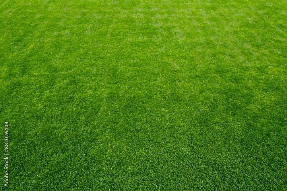 Green grass texture background with lush, well-maintained lawn appearance Green grass texture background with lush, well-maintained lawn appearance