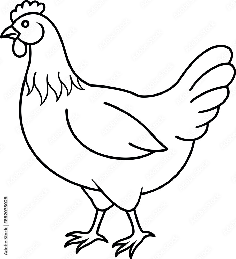 hen silhouette illustration Design on a white background hen silhouette illustration Design on a white background