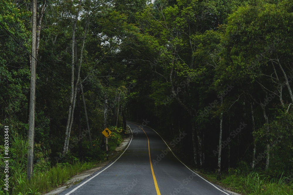 Fototapeta premium Road way to nature in national park, exploration, journey or adventure in rainforest, Asphalt road in natural area, environmental inspiration green background, concept of Earth day, travel destination