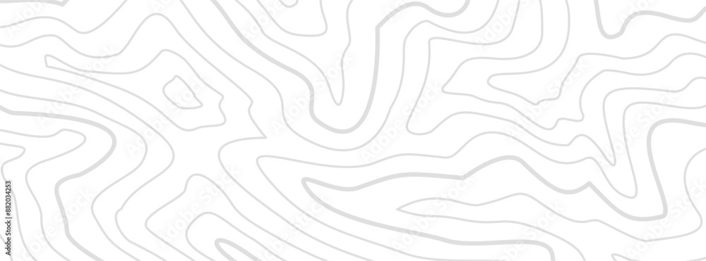 Fototapeta premium Topographic contour background. Contour lines backdrop. Background of a topographic map. Abstract wavy backdrop. Contour map background.