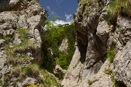 Dried up river bed