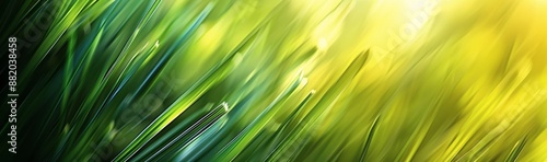 Abstract Green Bokeh Background With Sunlight And Blurred Grass