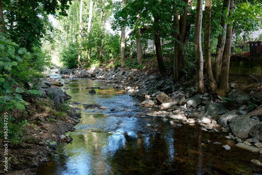 Fototapeta premium Fluss Holtemme Niedersachsen