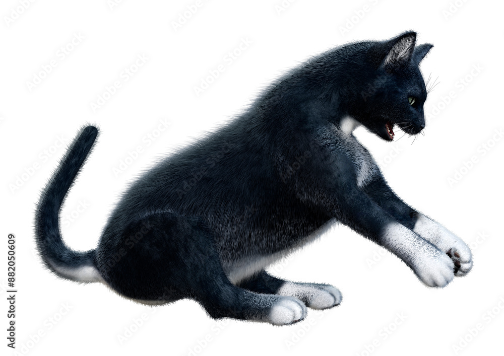 Obraz premium 3D Rendering Black Cat on White