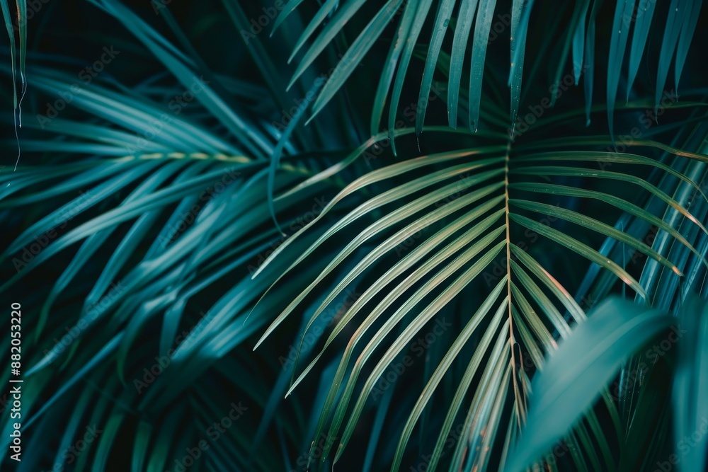 Nature background, tropical leaf texture, abstract green leaf Nature background, tropical leaf texture, abstract green leaf