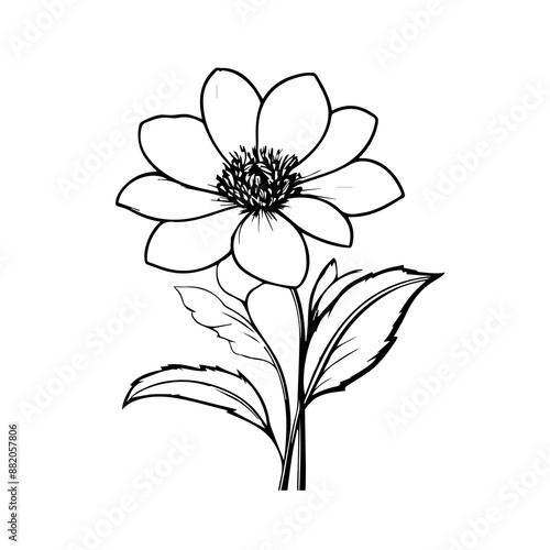 isolated on white background. Flower simple Vector illustration.