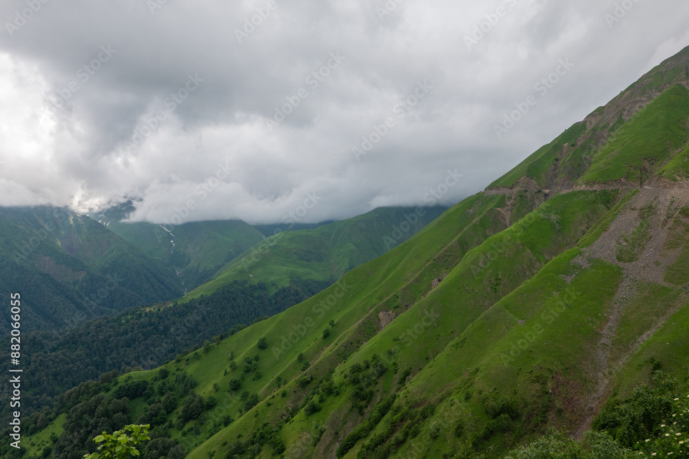 Fototapeta premium green valley in the mountains