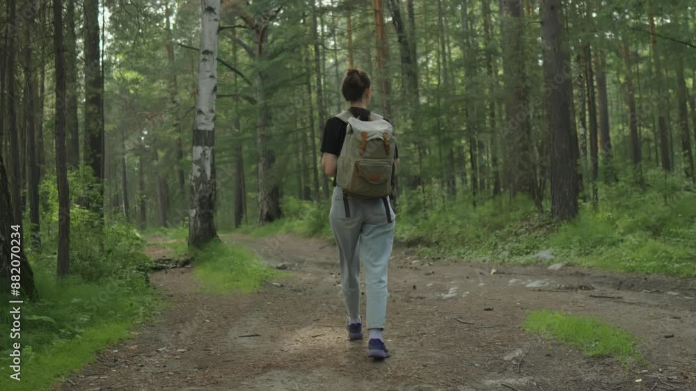 A female tourist with a backpack walks through the forest among the trees. Active trekking and unity with nature on a sunny summer day