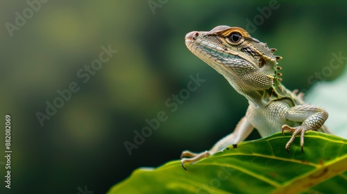 Agile reptile in mid-action, showcasing natural hunting instincts, vibrant scales and keen eyes locked on prey in a lush jungle setting