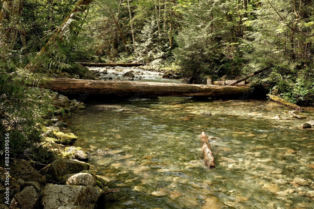 Fotografie Water flows downstream in Canada National Parks