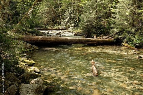 Fotografi Water flows downstream in Canada National Parks