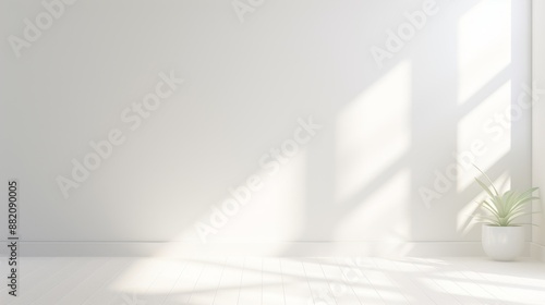 Sunlit white minimalist roo...