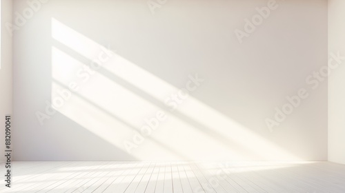 Sunlit white minimalist roo...