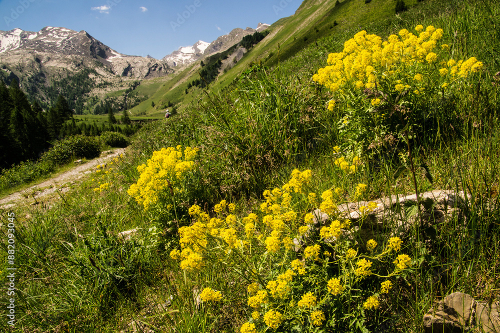 Obraz premium ubaye valley