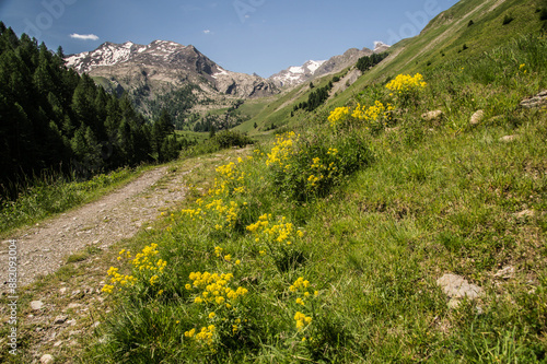 ubaye valley