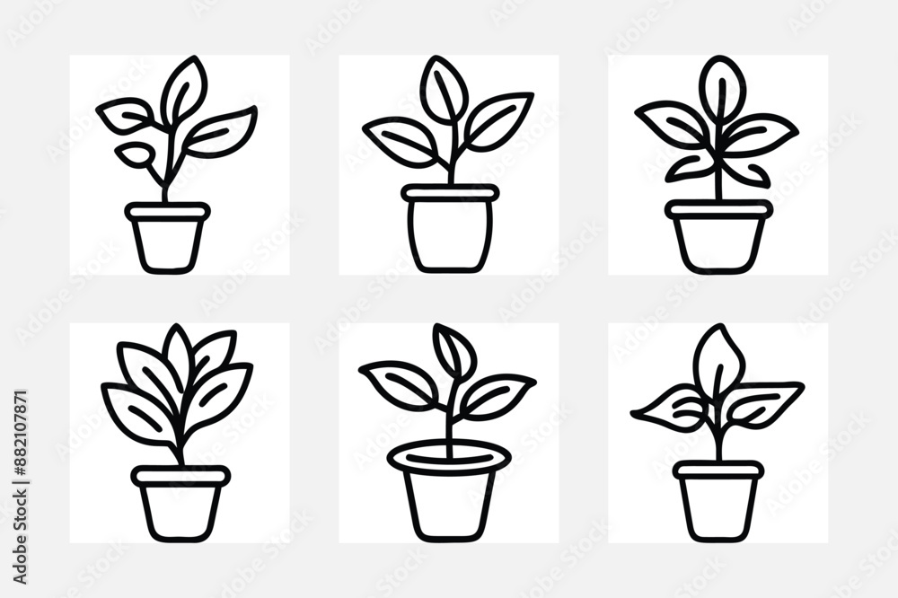 plants in pots vector illustration plants in pots vector illustration