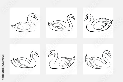 set of swans vector illustration